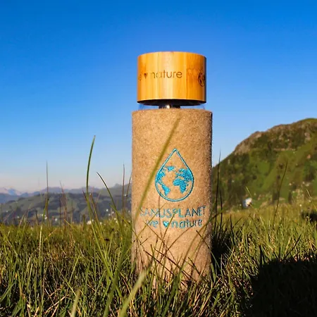 Morgensonne 아파트 *