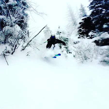 Morgensonne * 베스텐도르프