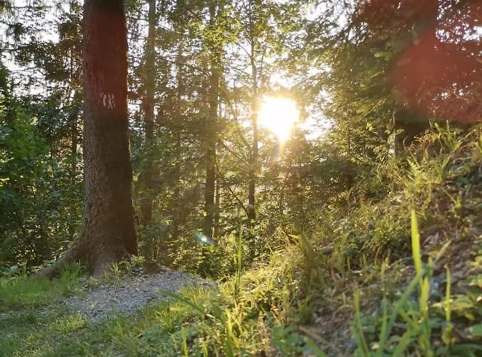 Apartamento Morgensonne *